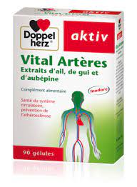 AKTIV VITAL ARTERES 90 Gélules — vue 2