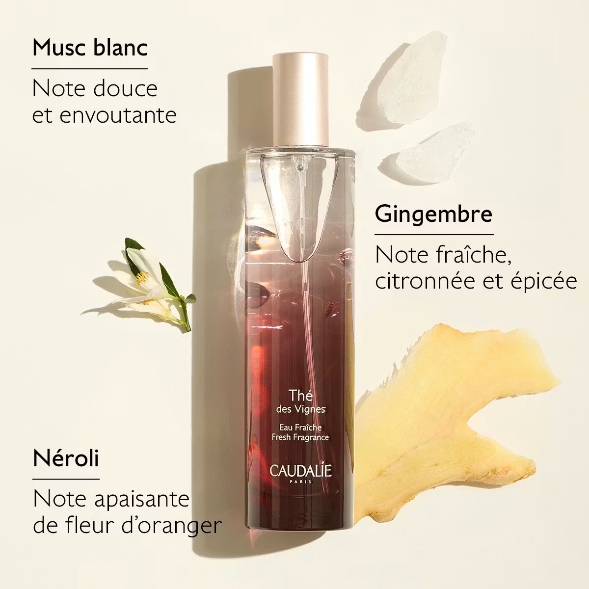 Caudalie Eau Fraîche Thé des Vignes-50ml — vue 4