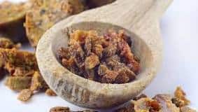 phytomed propolis poudre 25g — vue 2