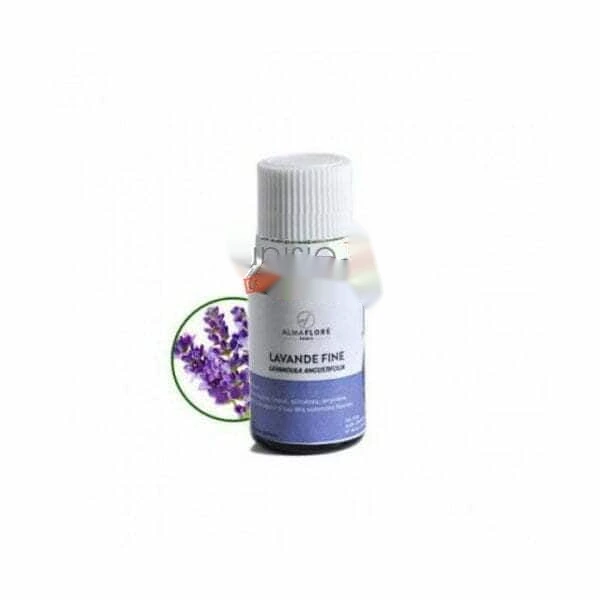 ALMAFLORE Huile Essentielle de Lavande Fine 10ML